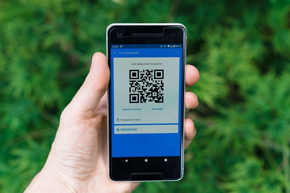 Beyond Price: Evaluating the Total Cost of a Payment Processor