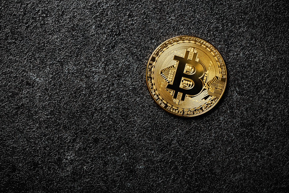 Payment Processor [Name] Reports Record Growth in [Quarter/Year]