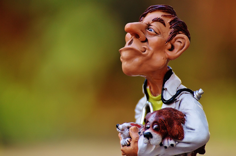 Questions to Ask Before Signing a Merchant Services Contract