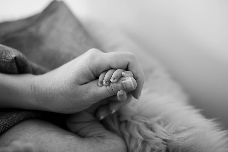 Understanding Emotional Support Animals: Rights, Responsibilities, and Benefits