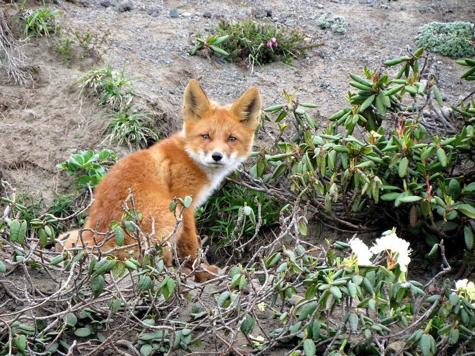 SEO keywords: Include relevant keywords like FEIN, EIN, Employer Identification Number, and small business.