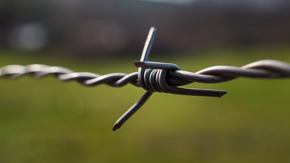 ACH and Wire Transfers: A Head-to-Head Comparison