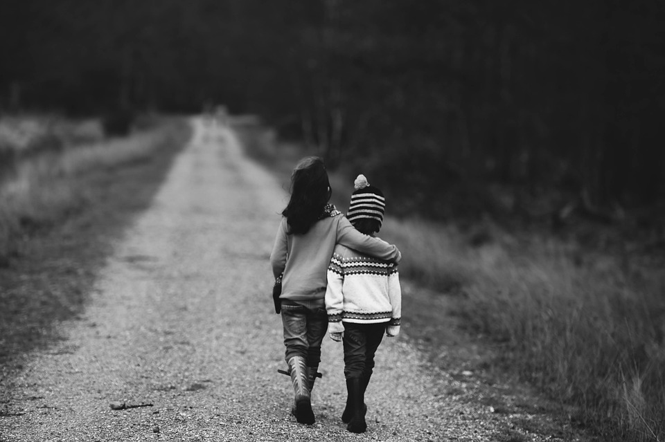 Emotional Support Animals: A Guide to Comfort and Companionship
