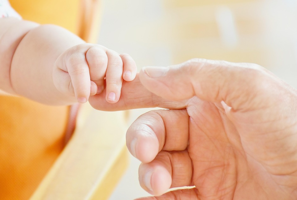 Are ESAs Right for You? A Comprehensive Guide