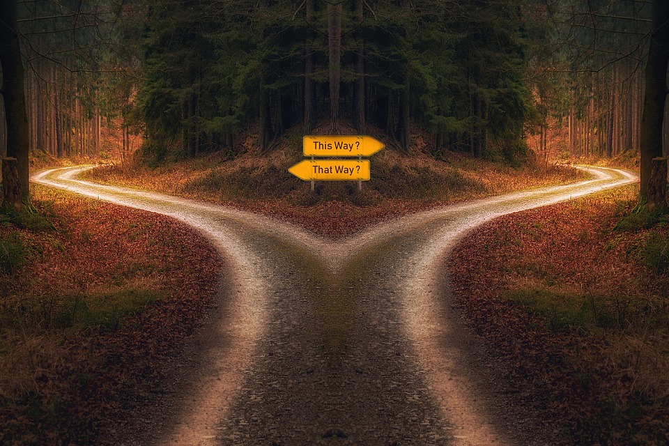 Choice Merchant Solutions: A Deep Dive into Their Payment Solutions