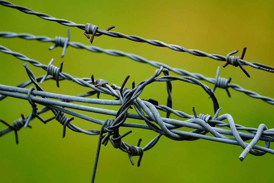 Payment Showdown: ACH vs. Wire Transfer - What Businesses Need to Know
